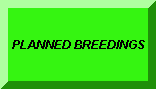 CLICK HERE TO GO TO PLANNED BREEDINGS